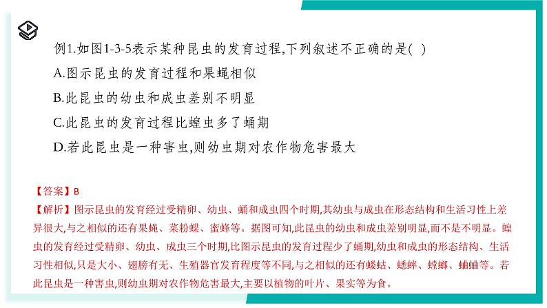 1.2 人和动物的生殖与发育(第3课时)-初中科学七年级下册 同步教学课件(浙教版2024)第6页