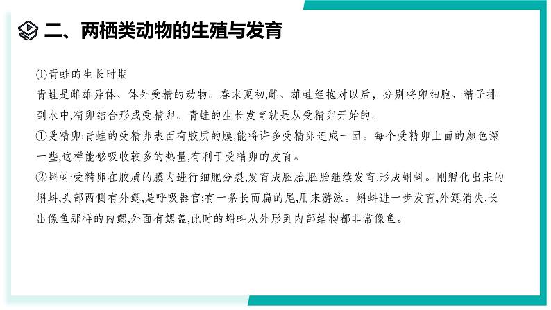 1.2 人和动物的生殖与发育(第3课时)-初中科学七年级下册 同步教学课件(浙教版2024)第7页