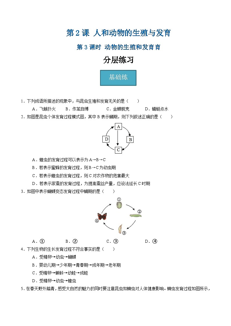 1.2 人和动物的生殖与发育(第3课时)(练习)第1页