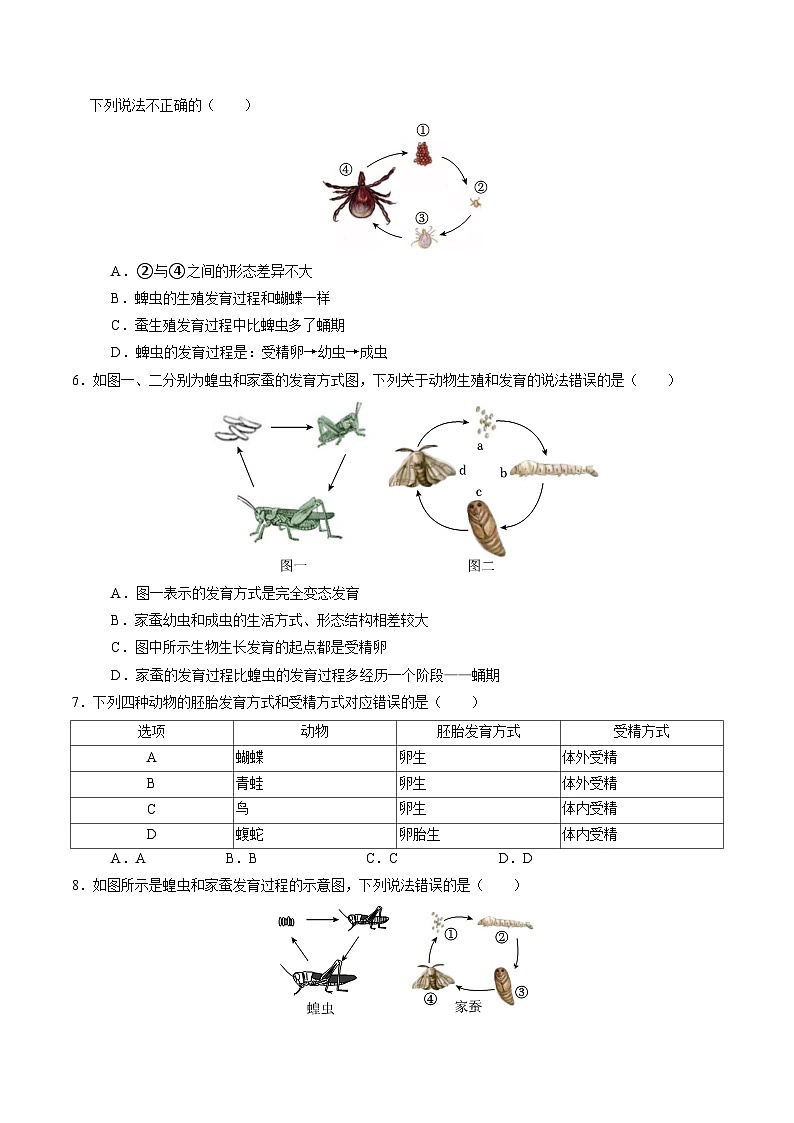 1.2 人和动物的生殖与发育(第3课时)(练习)第2页