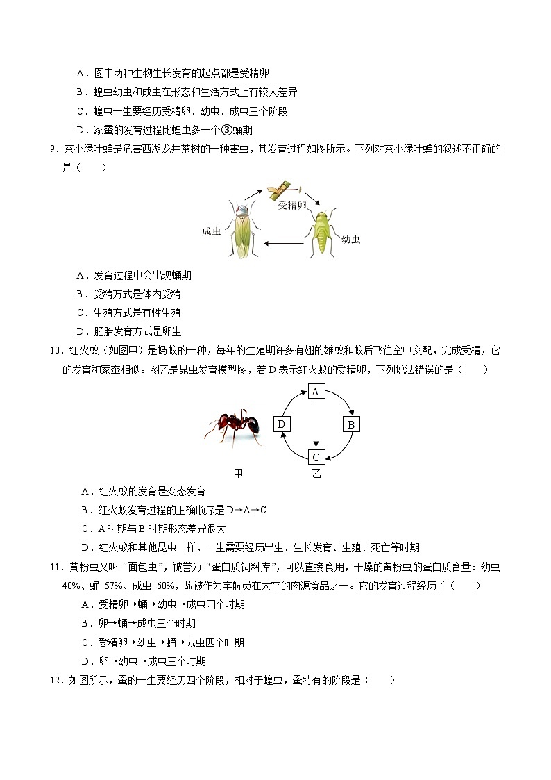 1.2 人和动物的生殖与发育(第3课时)(练习)第3页