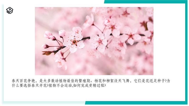 1.3 植物的生殖与发育(第1课时)-初中科学七年级下册 同步教学课件(浙教版2024)第2页
