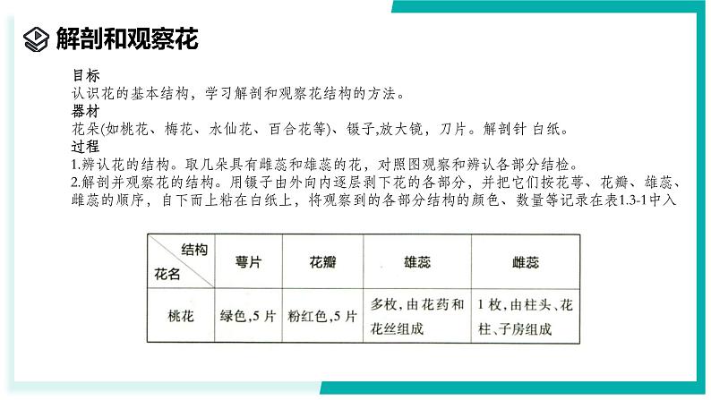 1.3 植物的生殖与发育(第1课时)-初中科学七年级下册 同步教学课件(浙教版2024)第5页