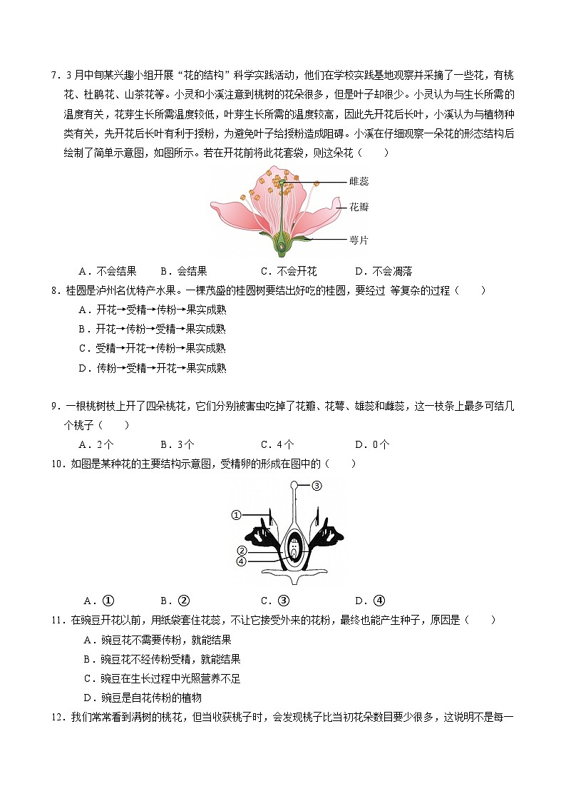1.3 植物的生殖与发育(第1课时)(练习)第3页