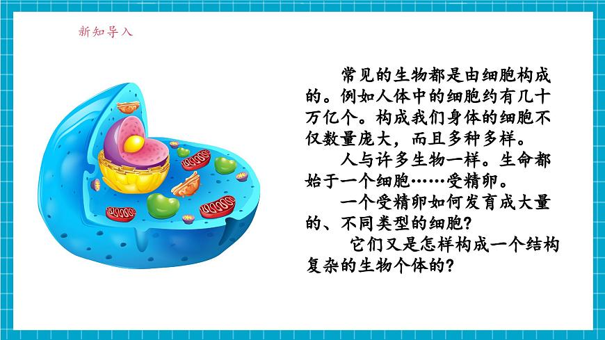 浙教版七下科學(xué) 1.1 生物體的結(jié)構(gòu)層次（1）第5頁