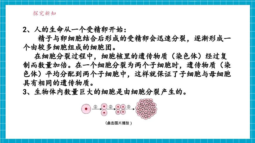 浙教版七下科學(xué) 1.1 生物體的結(jié)構(gòu)層次（1）第8頁
