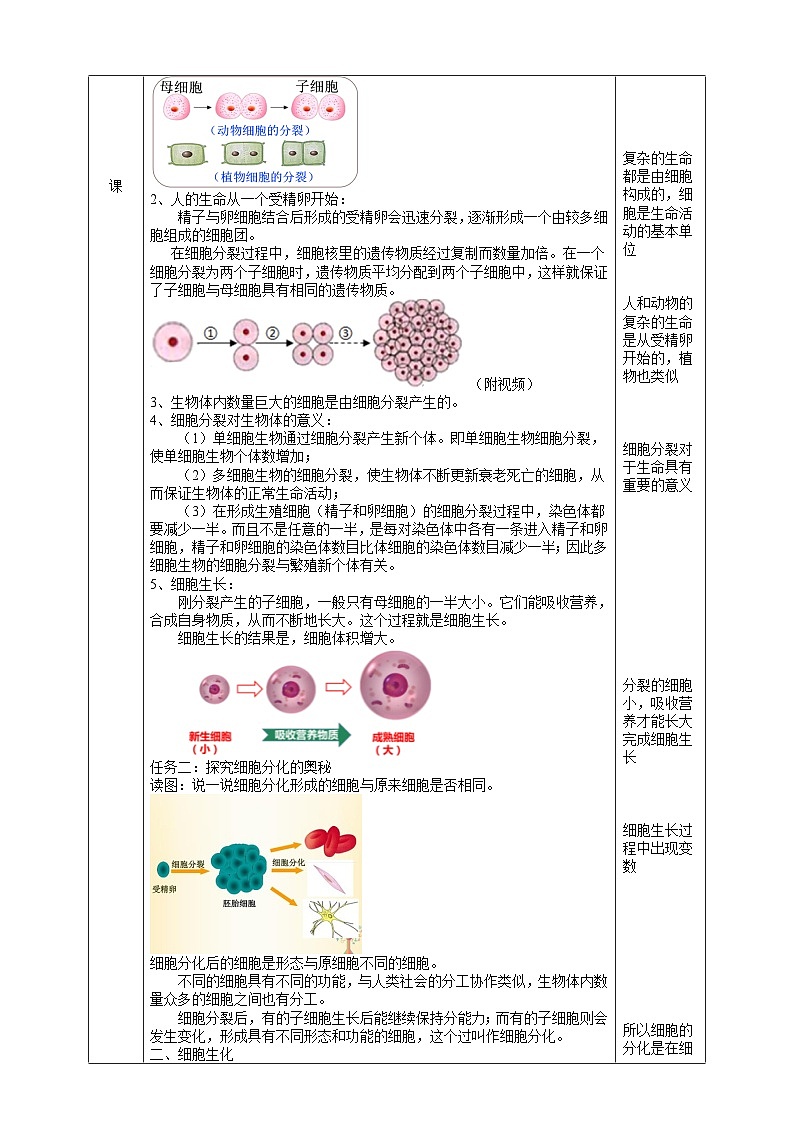 浙教版七下科学 1.1 生物体的结构层次(1)教学设计(表格式)第2页