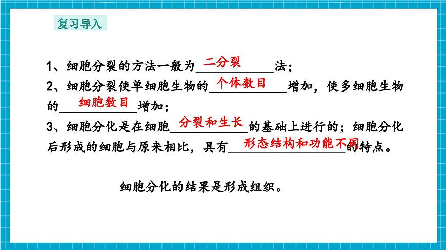 浙教版七下科學(xué) 1.1 生物體的結(jié)構(gòu)層次（2）第4頁