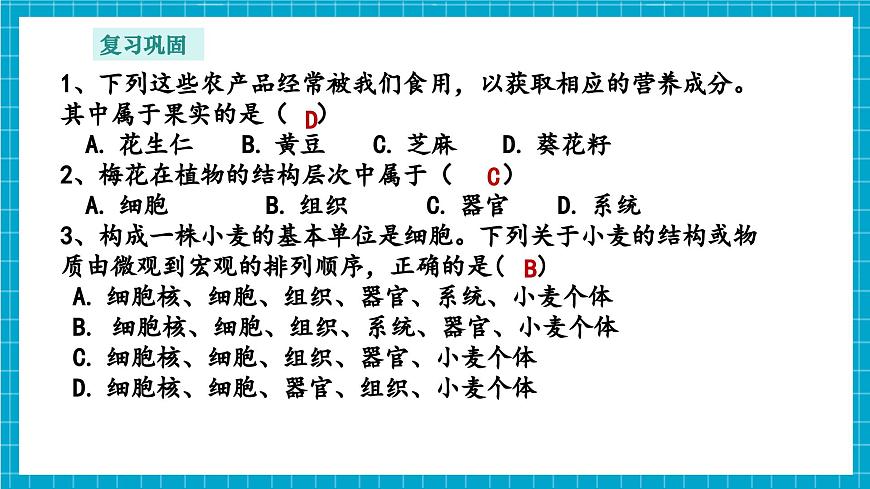 浙教版七下科學(xué) 1.1 生物體的結(jié)構(gòu)層次（3）第4頁