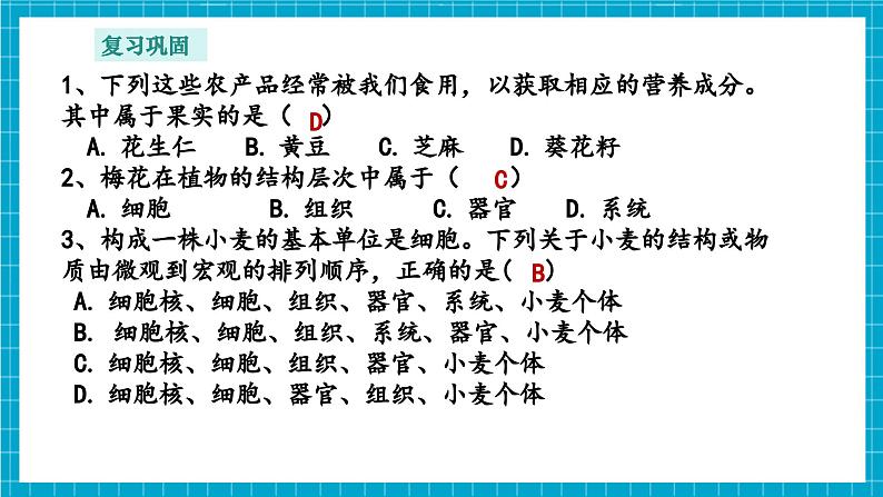 浙教版七下科学 1.1 生物体的结构层次(3)第4页
