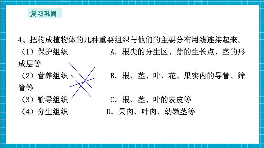 浙教版七下科學(xué) 1.1 生物體的結(jié)構(gòu)層次（3）第5頁