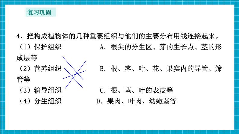 浙教版七下科学 1.1 生物体的结构层次(3)第5页