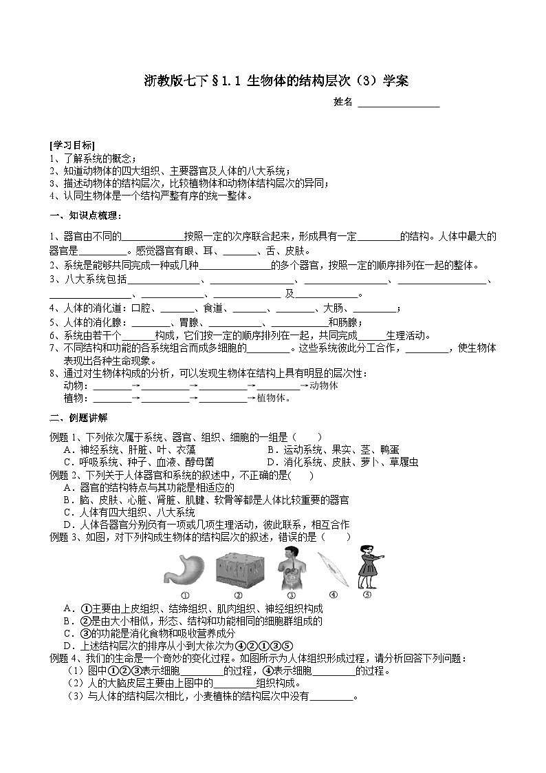 浙教版七下科学 1.1 生物体的结构层次(3) 学案第1页