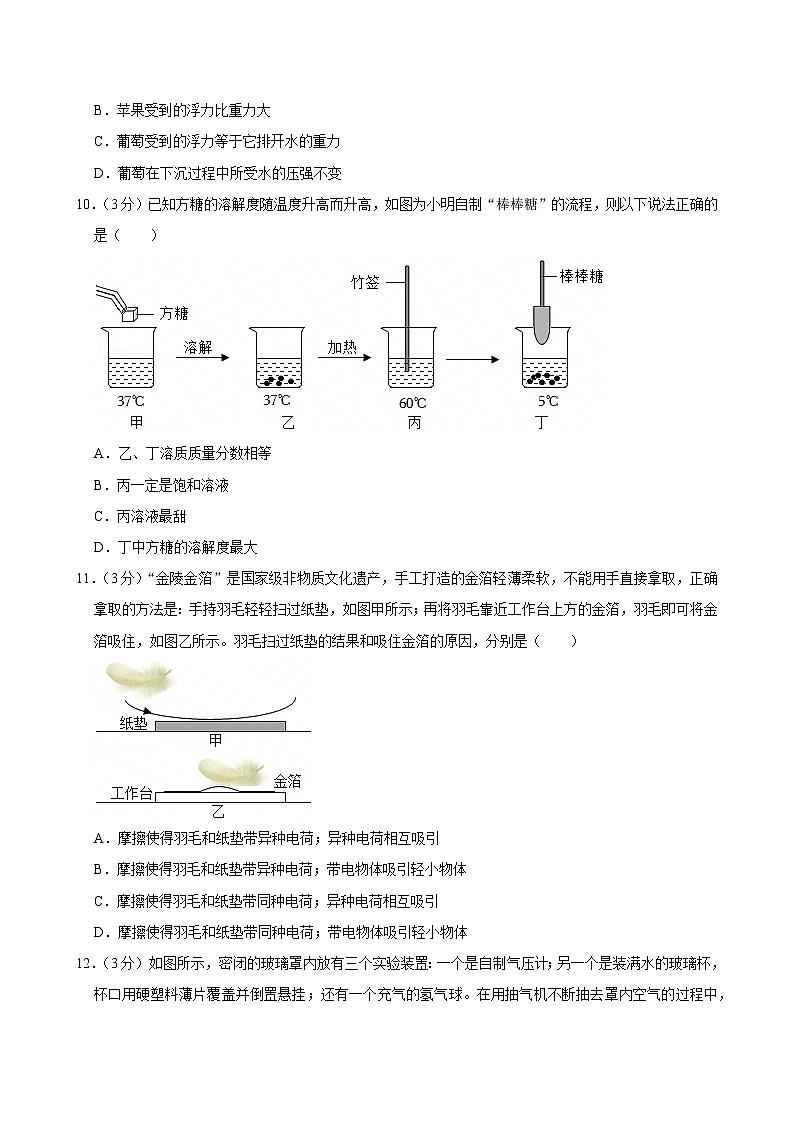 2023-2024学年浙江省台州市玉环市八年级(上)期末科学试卷第3页