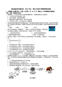 浙江省杭州市滨江区2023-2024学年七年级下学期期末模拟 科学试题