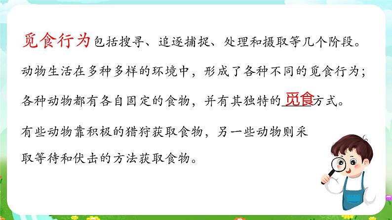 华师大版科学八下 7.1《动物的行为》第1课时 课件第6页