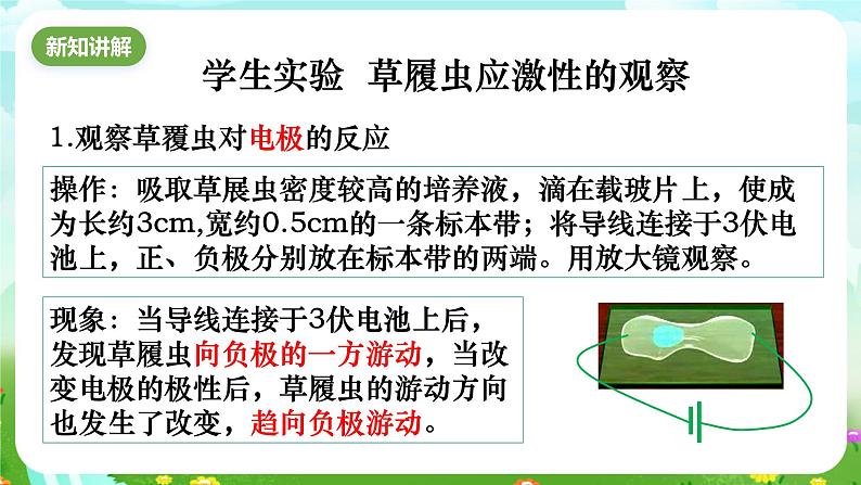 华师大版科学八下 7.1《动物的行为》第2课时 课件第3页