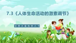 华师大版科学八下 7.3《人体生命活动的激素调节》课件