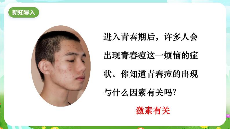 华师大版科学八下 7.3《人体生命活动的激素调节》课件第2页