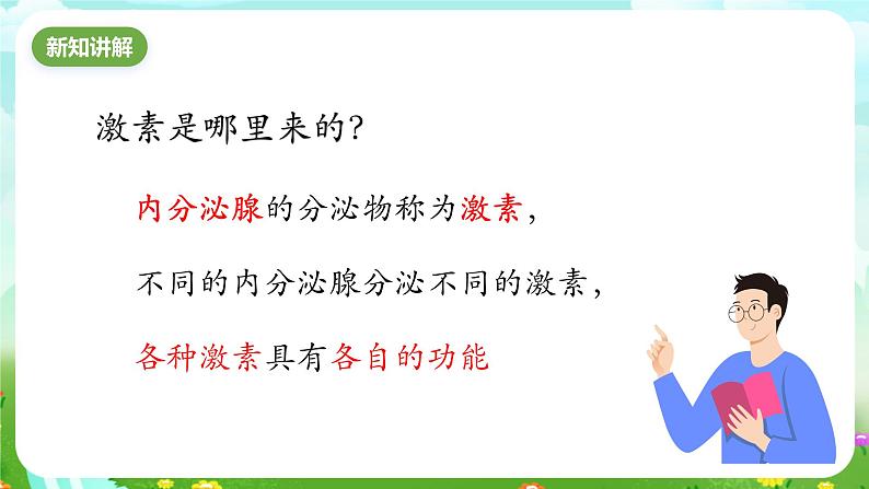 华师大版科学八下 7.3《人体生命活动的激素调节》课件第3页