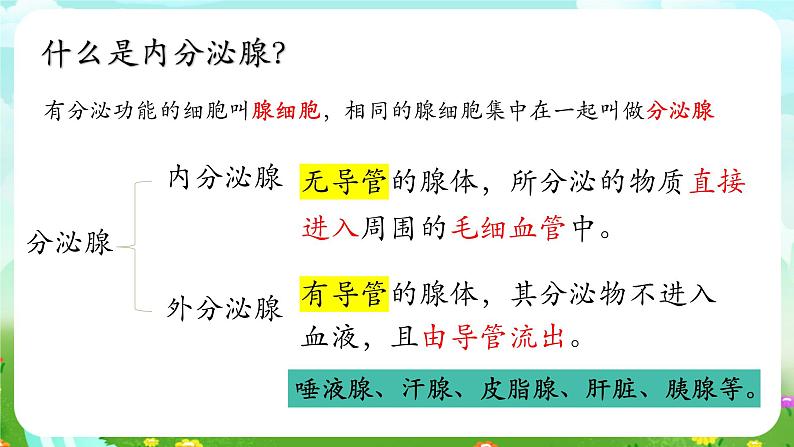 华师大版科学八下 7.3《人体生命活动的激素调节》课件第4页