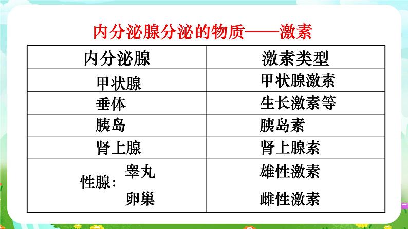 华师大版科学八下 7.3《人体生命活动的激素调节》课件第7页