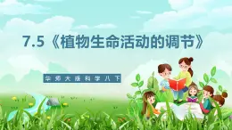 华师大版科学八下 7.5《植物生命活动的调节》课件+素材