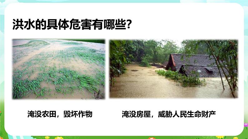 华师大版科学八下 8.4《气象灾害和防灾减灾》课件第5页
