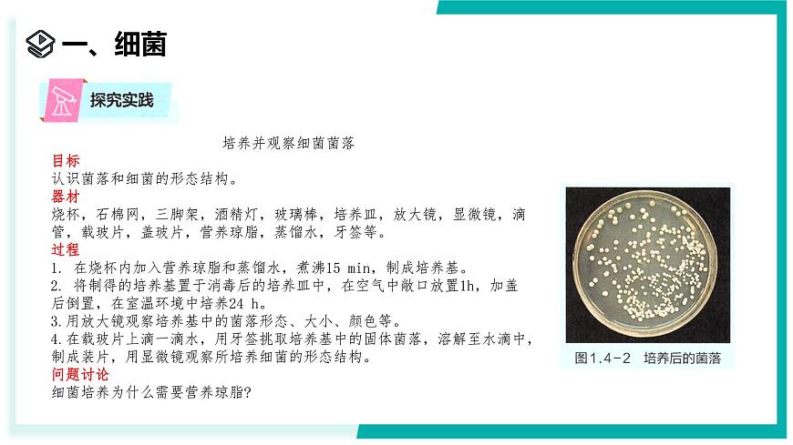 1.4 微生物的結(jié)構(gòu)與生殖-初中科學(xué)七年級(jí)下冊(cè) 同步教學(xué)課件（浙教版2024）第4頁