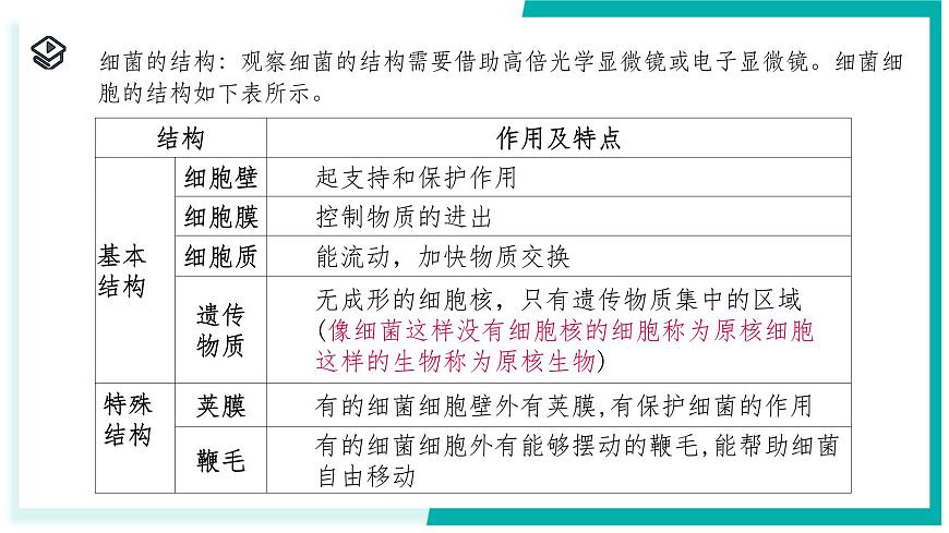 1.4 微生物的結(jié)構(gòu)與生殖-初中科學(xué)七年級(jí)下冊(cè) 同步教學(xué)課件（浙教版2024）第5頁