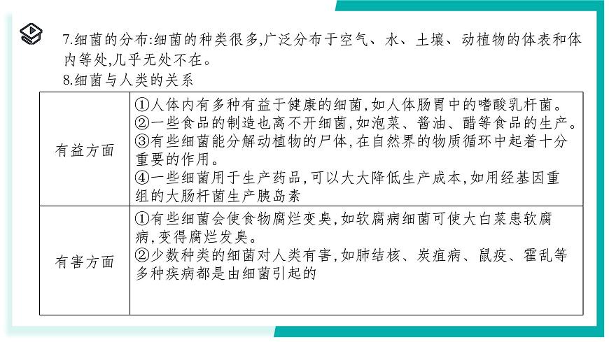 1.4 微生物的結(jié)構(gòu)與生殖-初中科學(xué)七年級(jí)下冊(cè) 同步教學(xué)課件（浙教版2024）第8頁