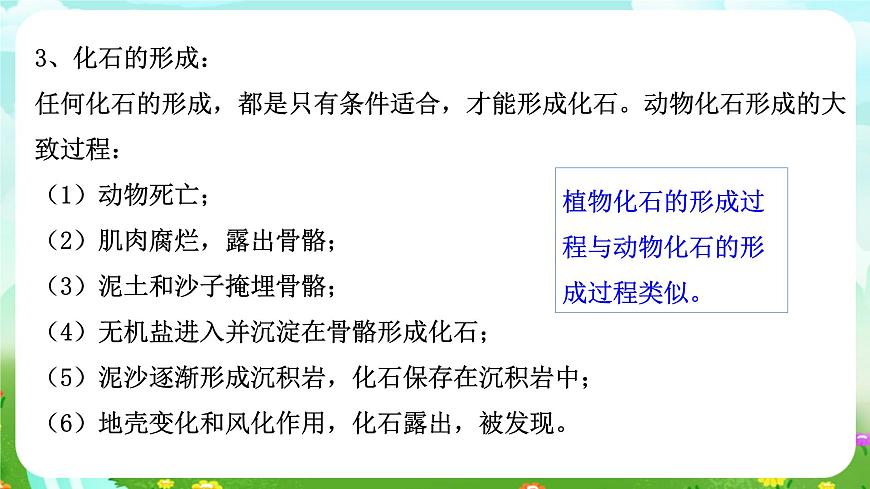 浙教版科學(xué)九下 1.4《生物的進(jìn)化》第1課時 課件第7頁