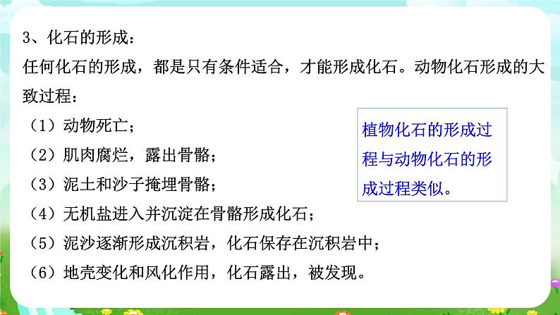 浙教版科学九下 1.4《生物的进化》第1课时 课件第7页