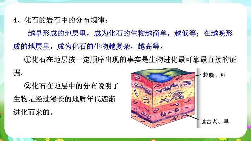 浙教版科學(xué)九下 1.4《生物的進(jìn)化》第1課時 課件第8頁