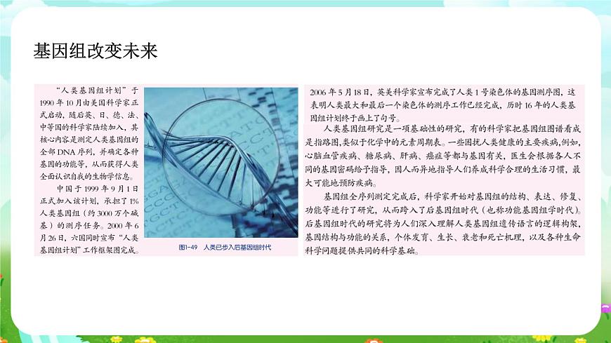 浙教版科學(xué)九下 1.5《遺傳和進(jìn)化》第2課時(shí) 課件第5頁(yè)