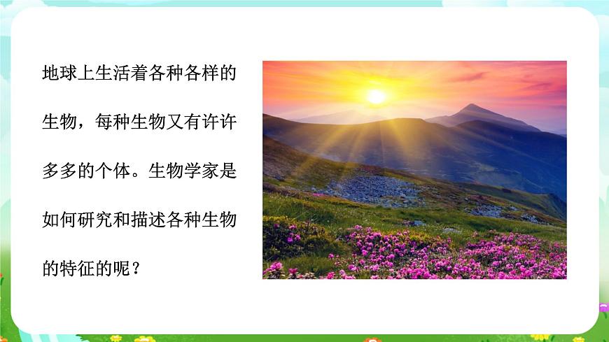 浙教版科學九下 2.2《種群》課件第3頁