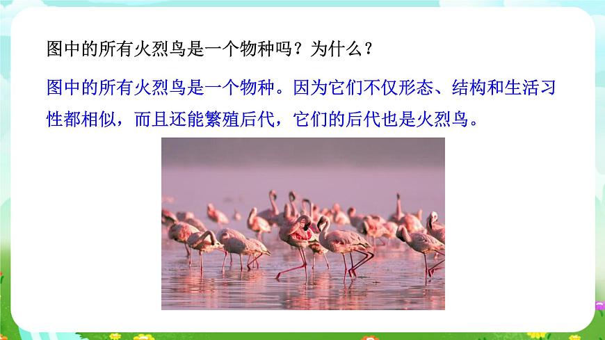 浙教版科學九下 2.2《種群》課件第4頁