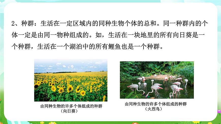 浙教版科學九下 2.2《種群》課件第6頁