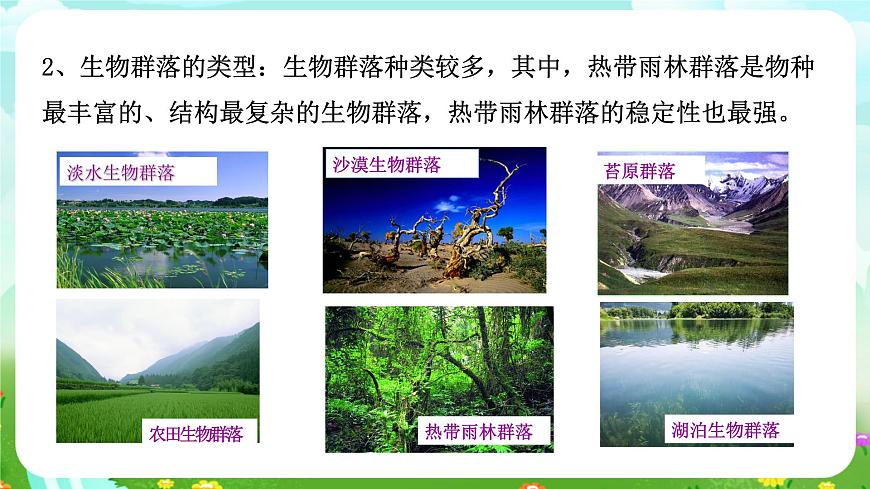 浙教版科學(xué)九下 2.3《生物群落》課件第5頁(yè)
