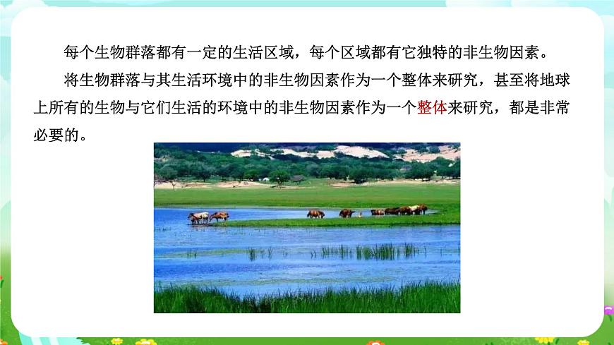 浙教版科學九下 2.4《生態(tài)系統(tǒng)的結構和功能》第1課時 課件第3頁