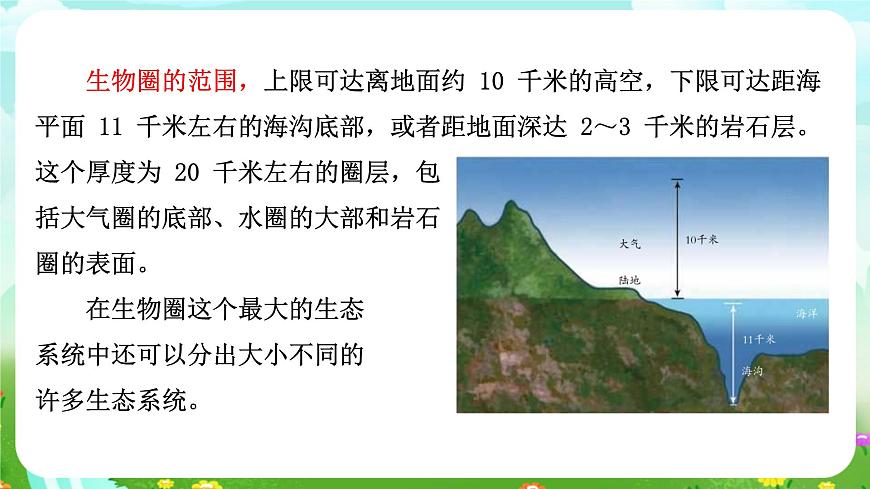 浙教版科學九下 2.4《生態(tài)系統(tǒng)的結構和功能》第1課時 課件第6頁