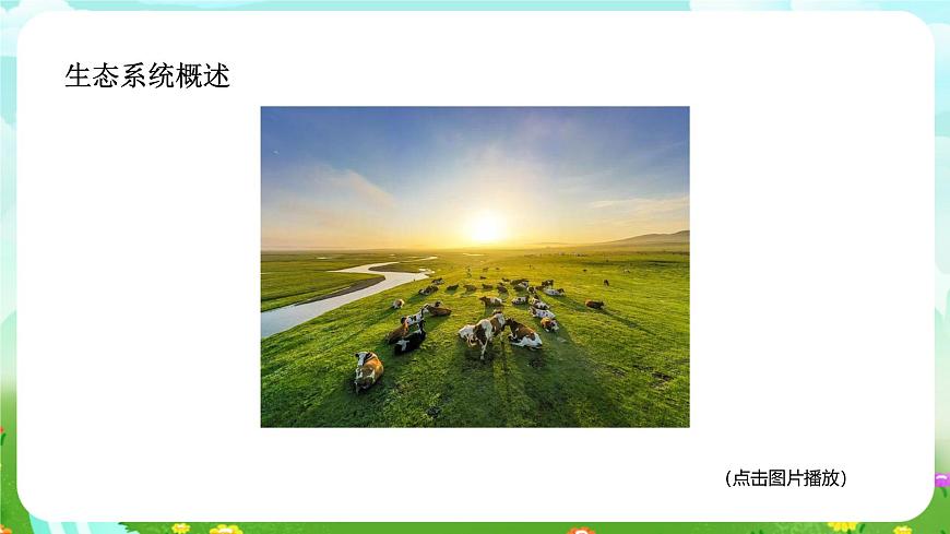 浙教版科學九下 2.4《生態(tài)系統(tǒng)的結構和功能》第1課時 課件第7頁