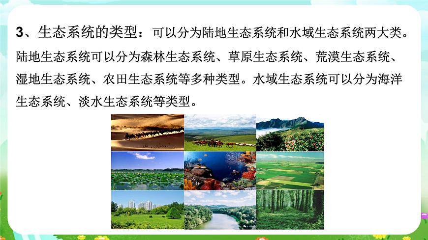 浙教版科學九下 2.4《生態(tài)系統(tǒng)的結構和功能》第1課時 課件第8頁