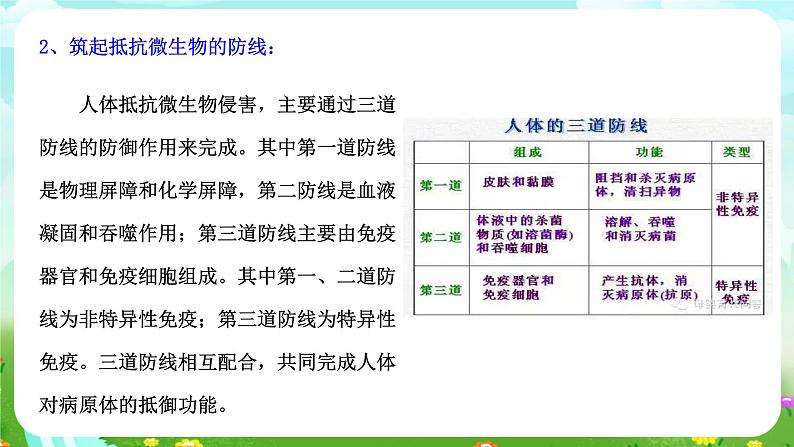 浙教版科学九下 3.3《身体的防卫》第1课时 课件第5页