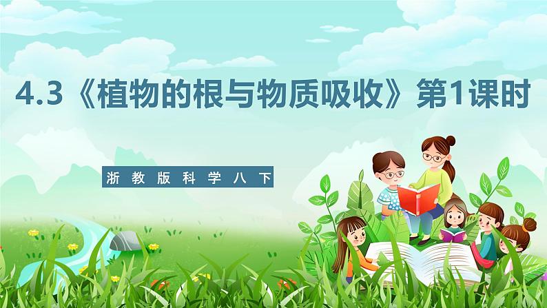 浙教版科学八下 4.3《植物的根与物质吸收》第1课时 课件第1页