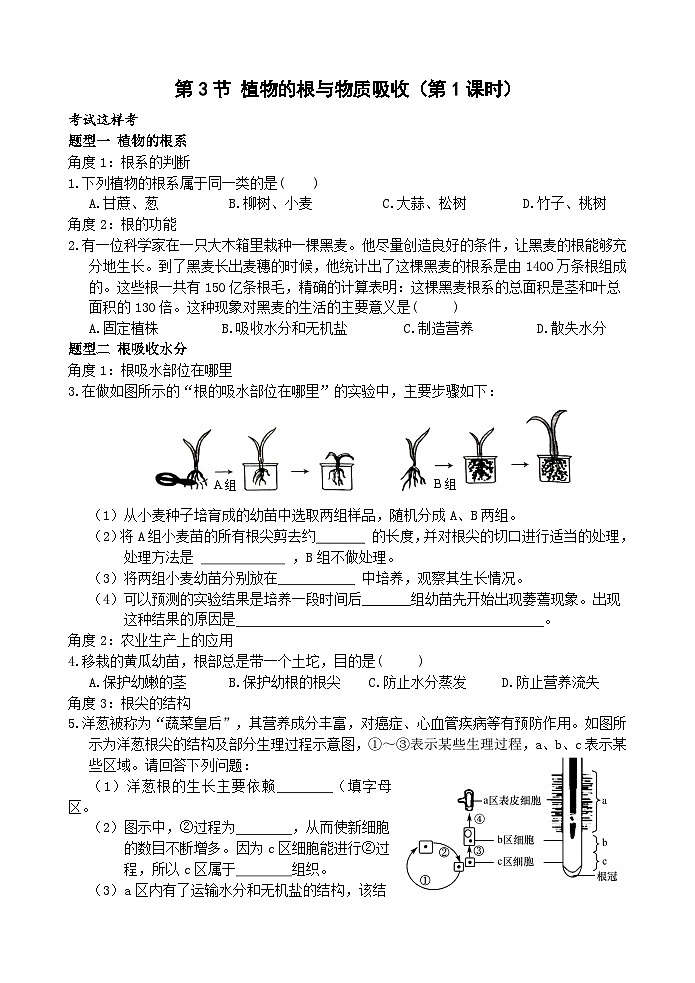 浙教版科学八下 4.3《植物的根与物质吸收》第1课时 练习第1页