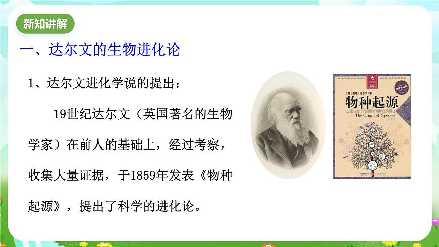華師大版科學(xué)九下 2.3《生物進(jìn)化》課件第4頁