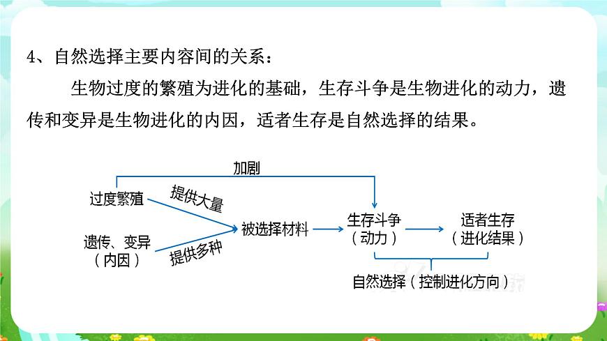華師大版科學(xué)九下 2.3《生物進(jìn)化》課件第7頁