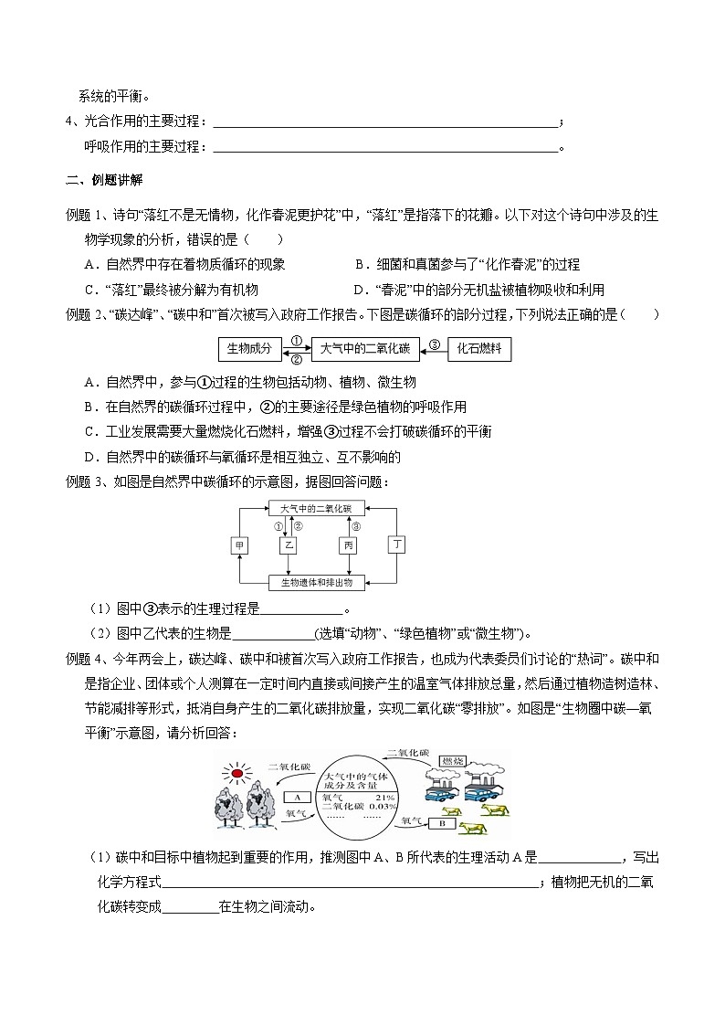 华师大版科学九下 3.2《自然界中的碳循环和氧循环》学案第2页