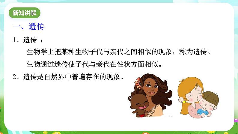 华师大版科学九下 5.1《生物的遗传》第1课时 课件第4页